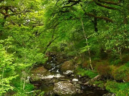 Fern Cottage Apartment Glengarriff